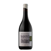 Staphyle MicroTerroir Gualtallary 2021